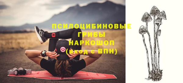 spice Белоозёрский