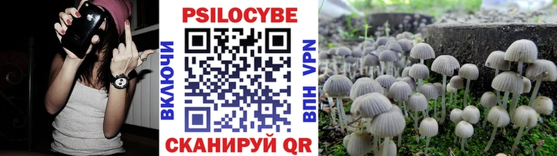 darknet клад  Светогорск  Псилоцибиновые грибы мицелий  хочу  